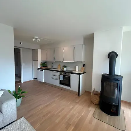 Apartment Elegant - Free Parking - Near Centerum *