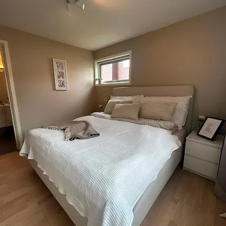 Apartman Elegant - Free Parking - Near Centerum Voss