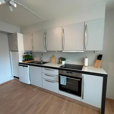 Apartman Elegant - Free Parking - Near Centerum