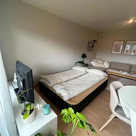 Elegant - Free Parking - Near Centerum Apartman *